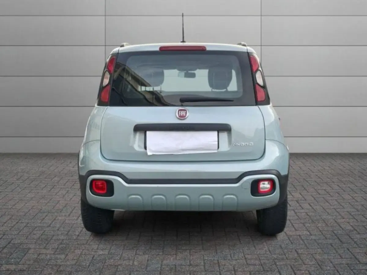 Fiat Panda Cross usata a Vercelli (11)