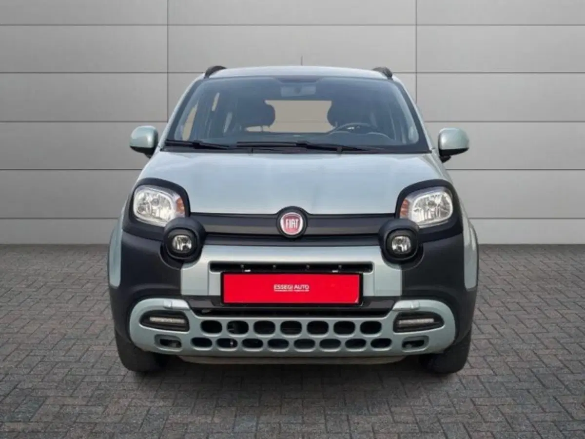 Fiat Panda Cross usata a Vercelli (12)