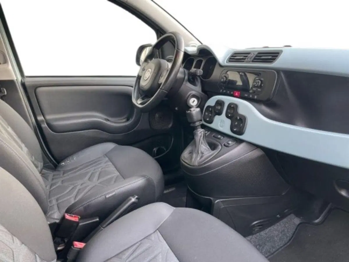 Fiat Panda Cross usata a Vercelli (14)