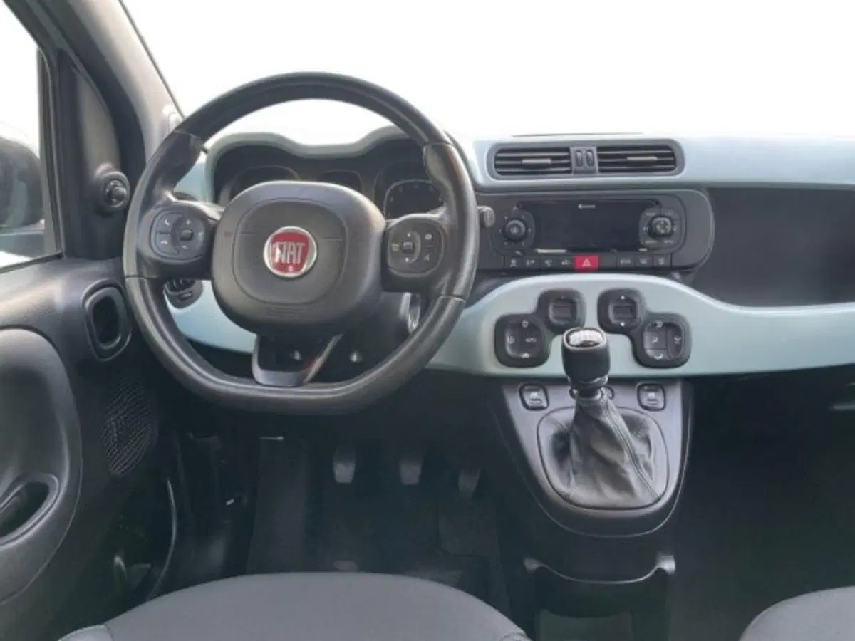 Fiat Panda Cross usata a Vercelli (7)
