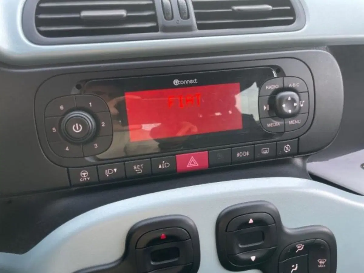 Fiat Panda Cross usata a Vercelli (9)