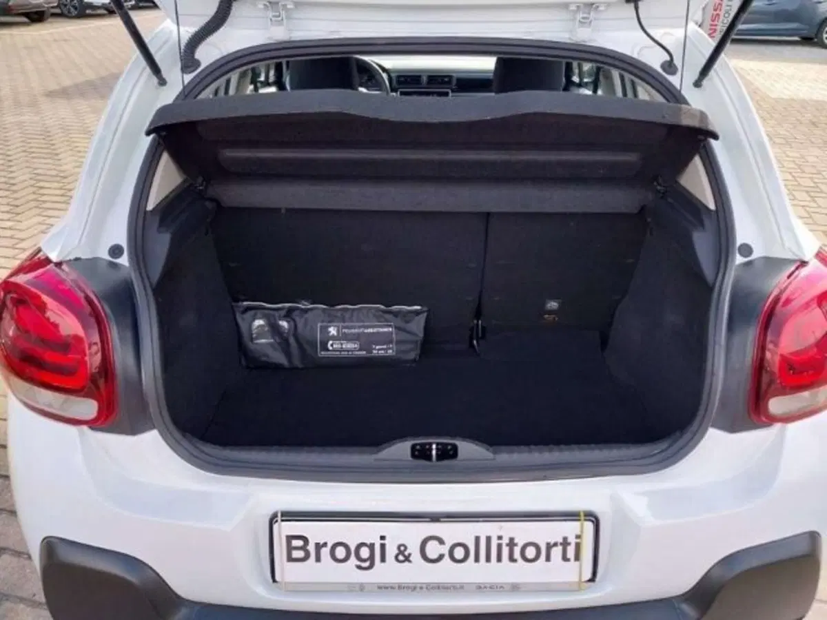 Citroen C3 usata a Firenze (9)