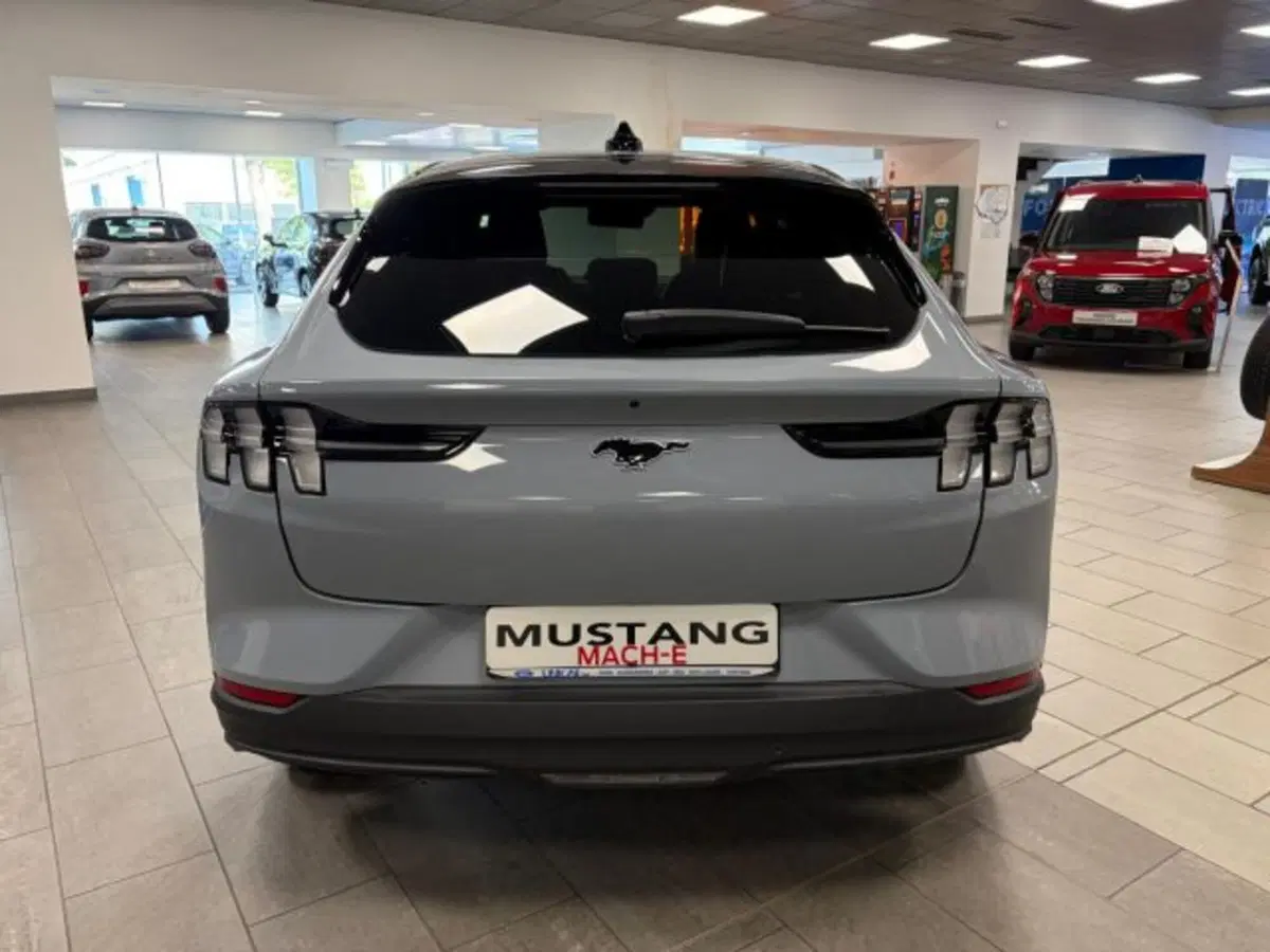Ford Mustang Mach-E nuova a Cuneo (6)