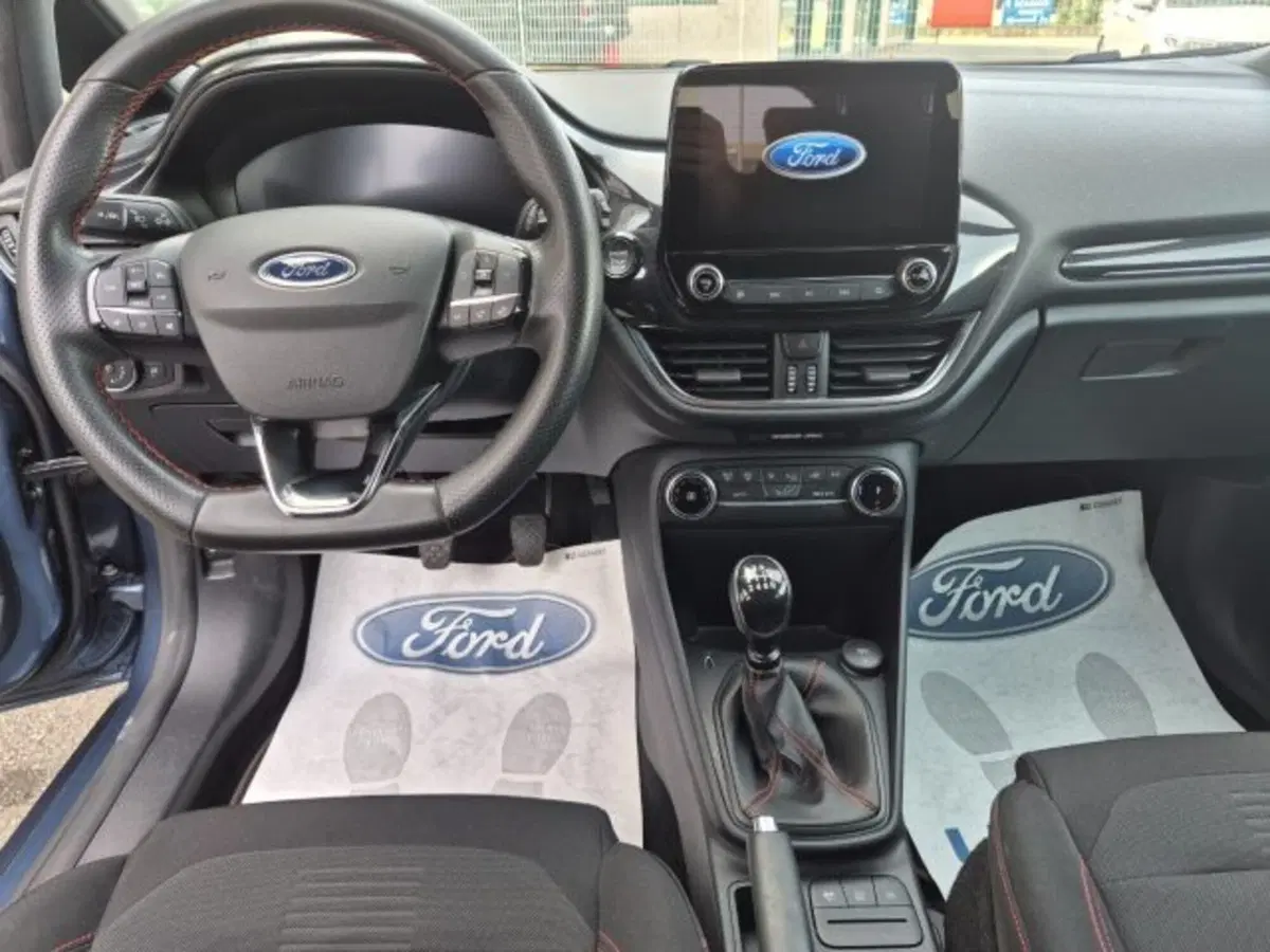 Ford Fiesta usata a Cuneo (10)
