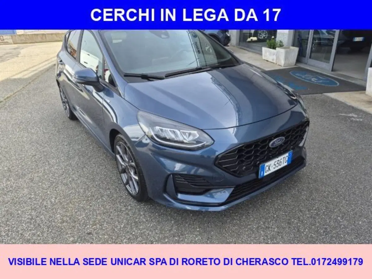 Ford Fiesta usata a Cuneo (3)