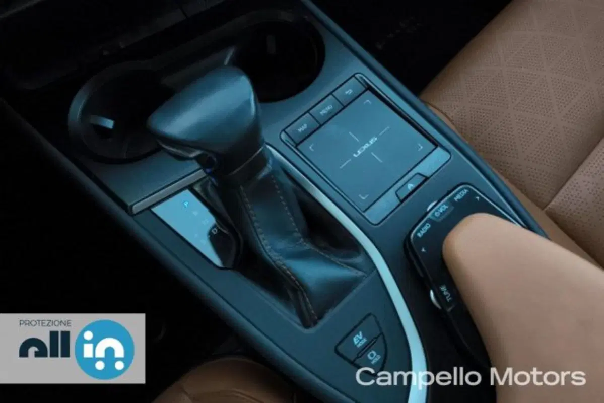Lexus UX usata a Venezia (16)