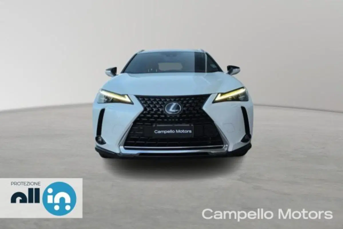 Lexus UX usata a Venezia (2)