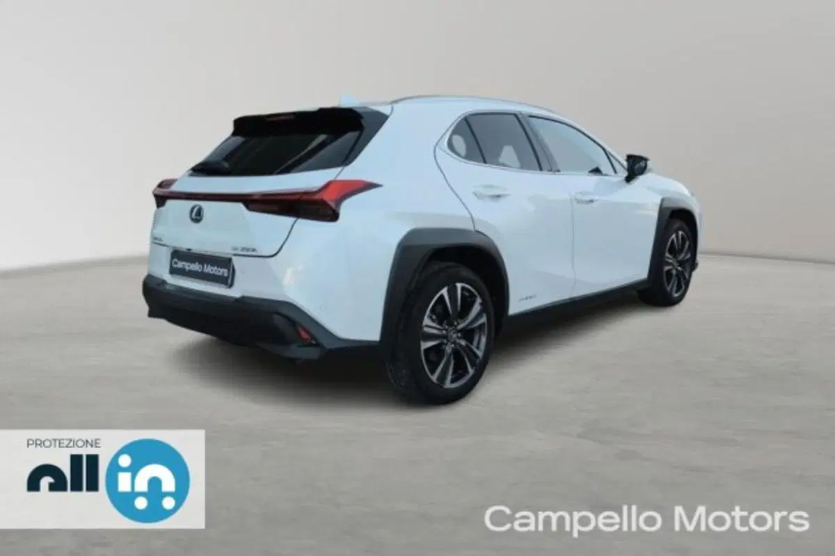 Lexus UX usata a Venezia (3)