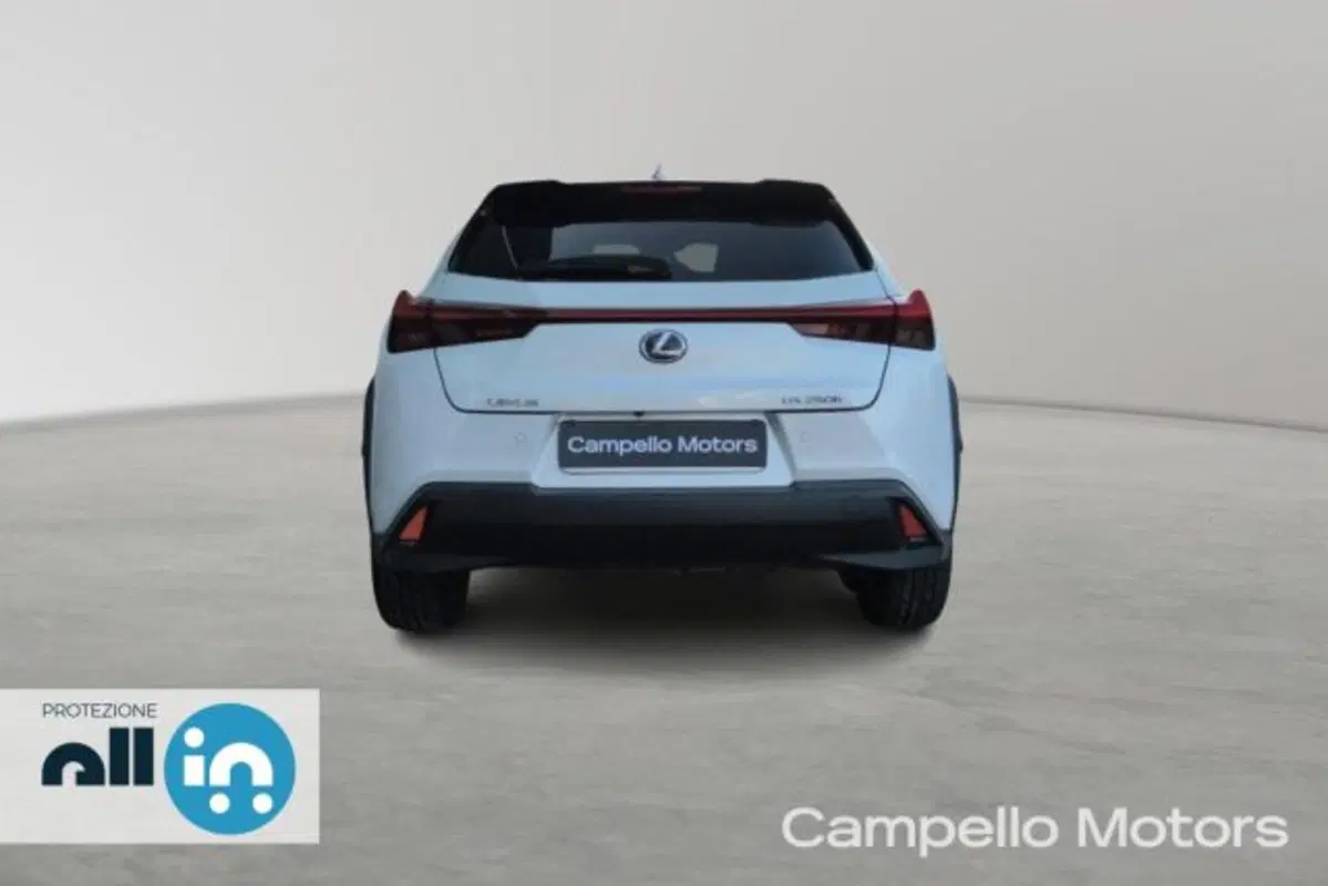 Lexus UX usata a Venezia (4)