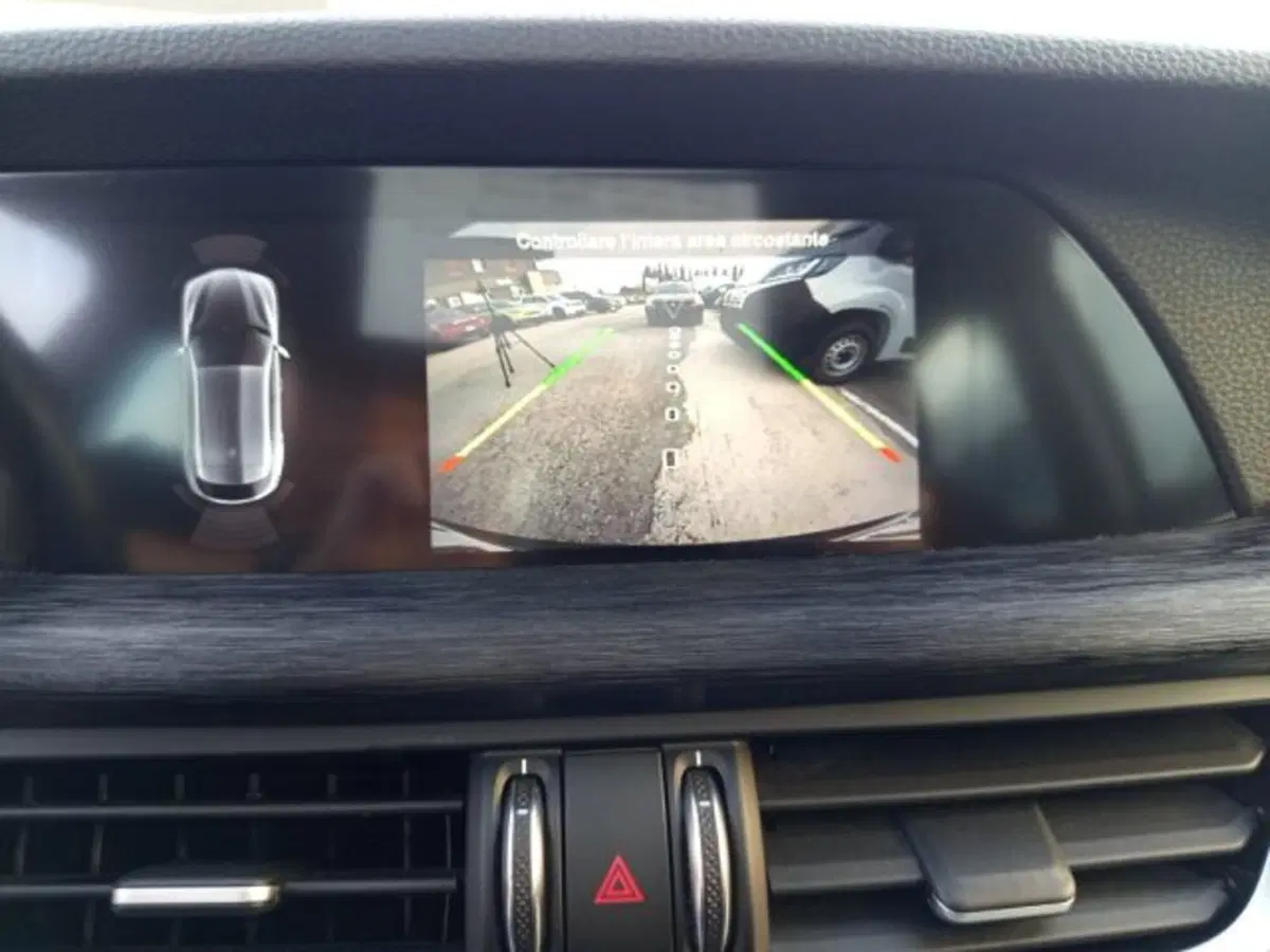 Alfa Romeo Stelvio nuova a Frosinone (13)