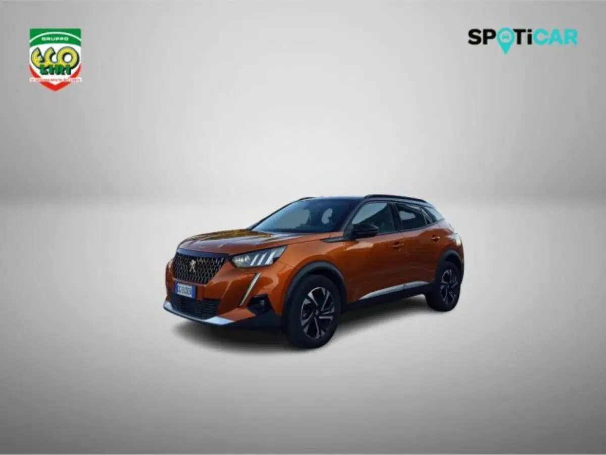 Peugeot 2008 usata a Frosinone (19)