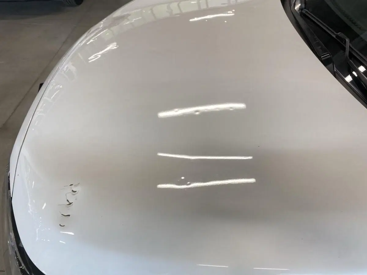 Suzuki S-Cross usata a Torino (13)