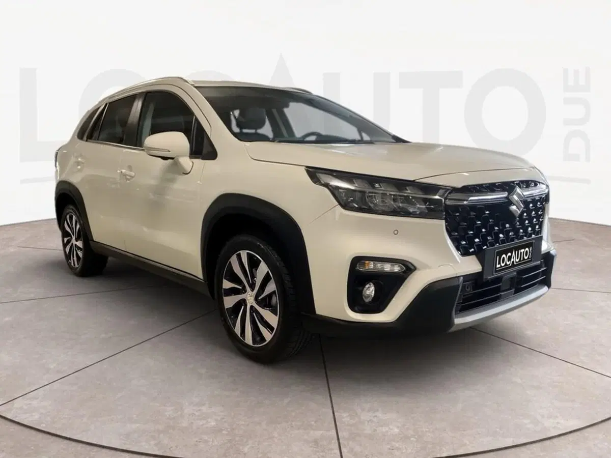 Suzuki S-Cross usata a Torino (3)
