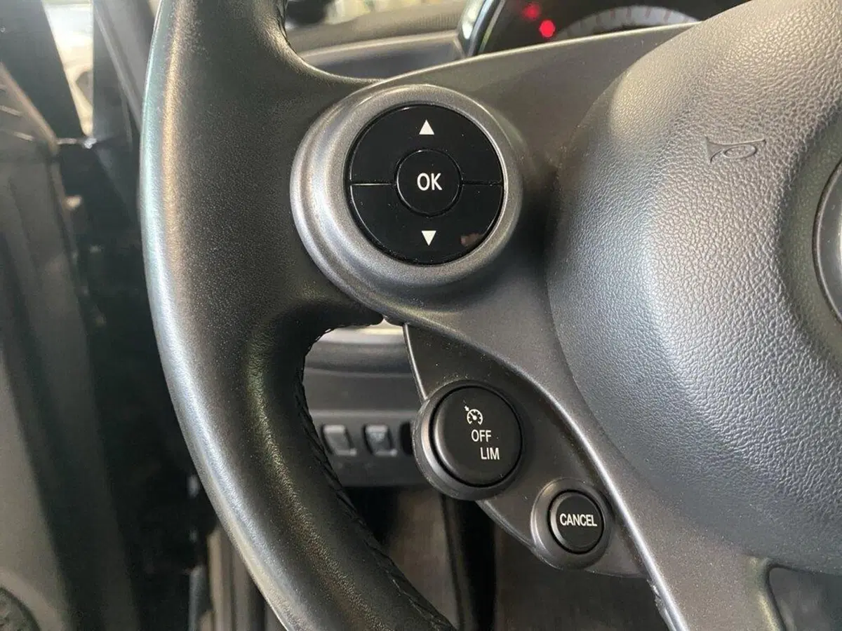 smart Fortwo usata a Torino (12)