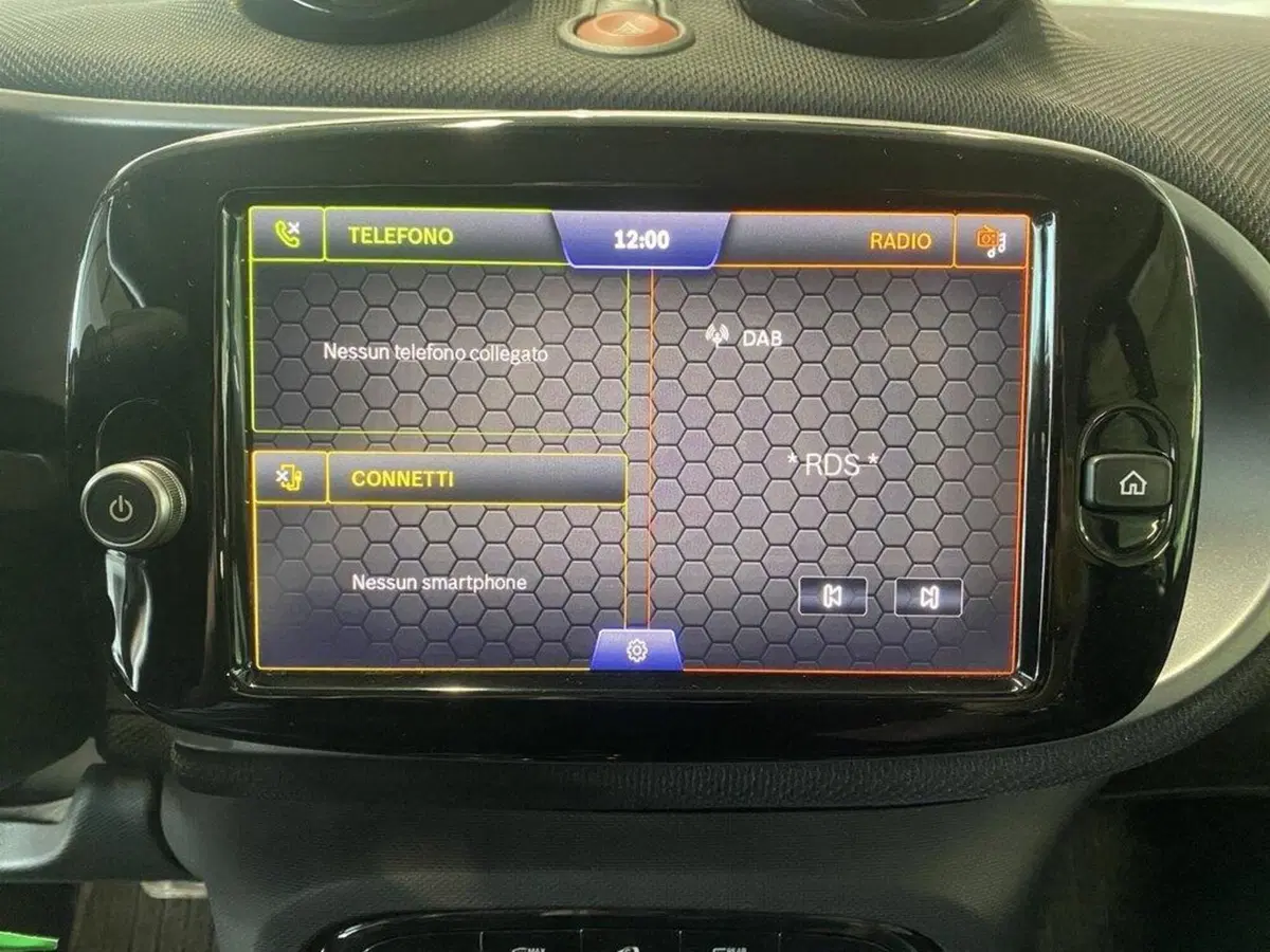 smart Fortwo usata a Torino (8)
