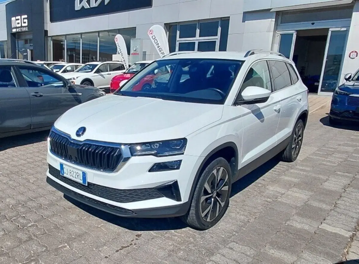 Skoda Karoq usata a Cosenza