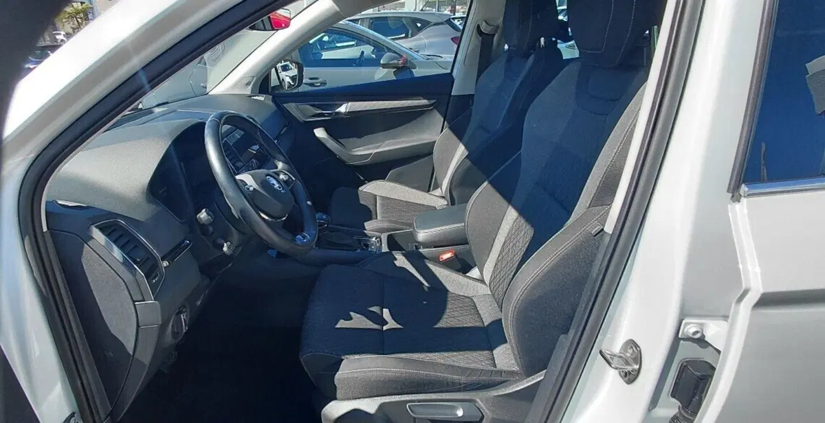 Skoda Karoq usata a Cosenza (10)