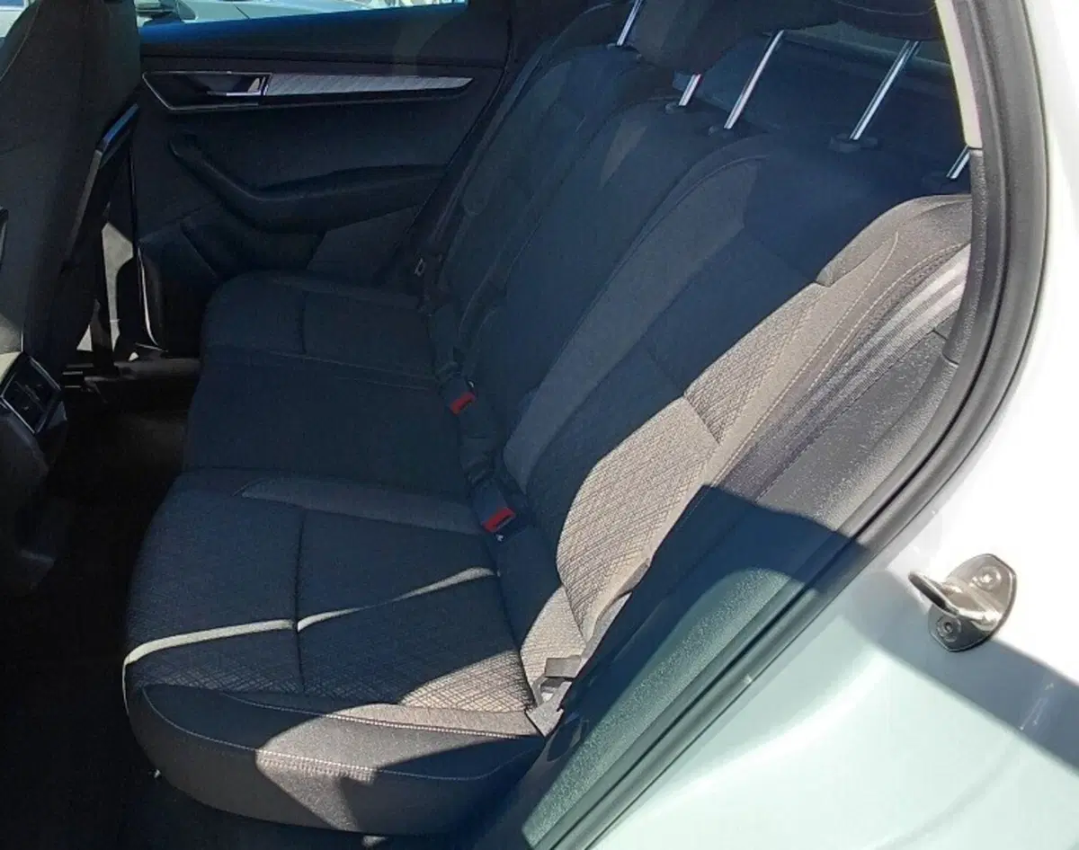 Skoda Karoq usata a Cosenza (12)