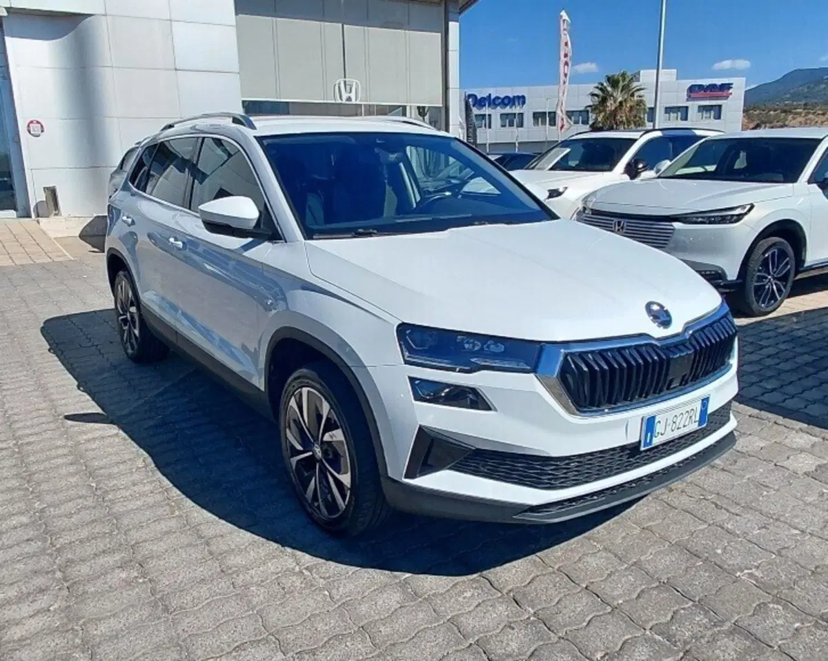 Skoda Karoq usata a Cosenza (3)