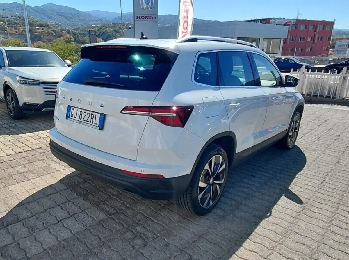 Skoda Karoq usata a Cosenza (4)