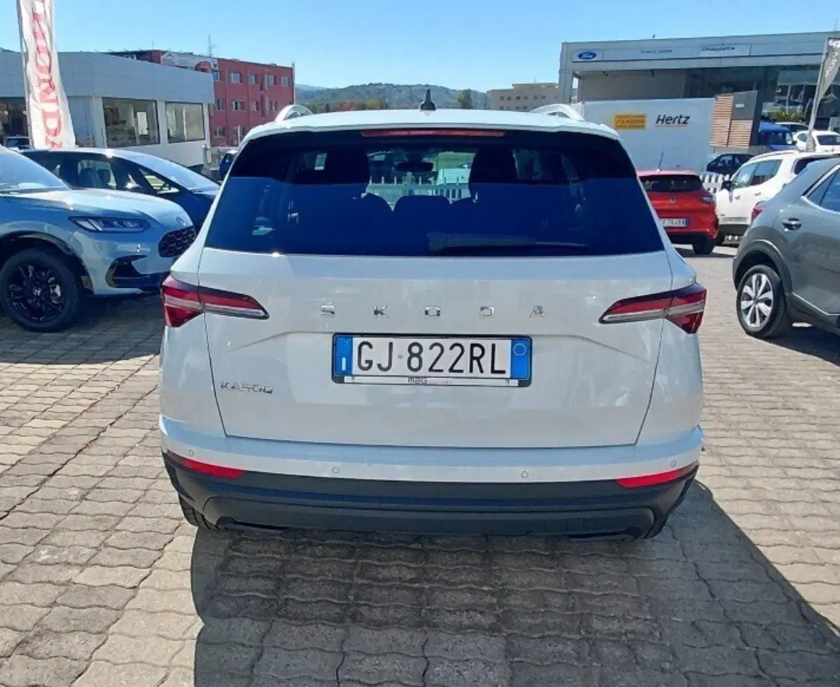 Skoda Karoq usata a Cosenza (5)