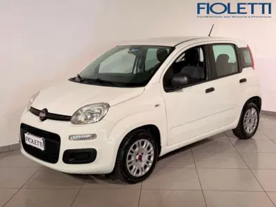 Fiat Panda 1.3 MJT 95 CV S&S Easy del 2017 usata a Concesio