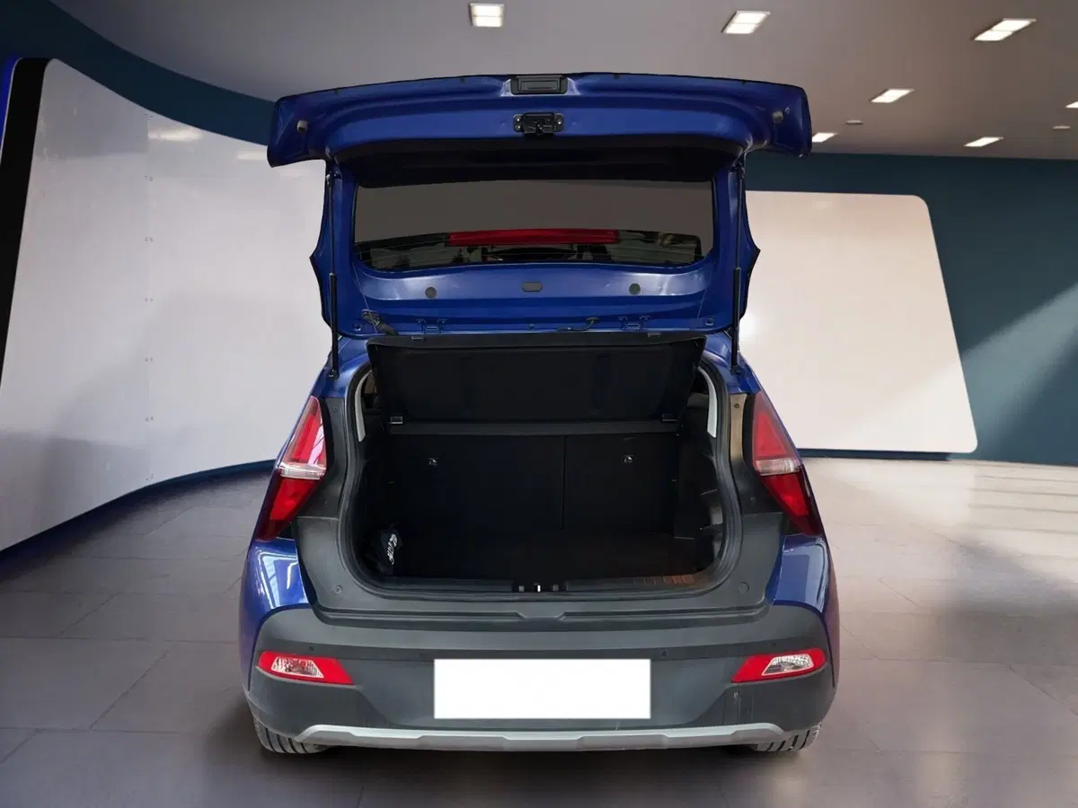 Hyundai Bayon usata a Torino (8)