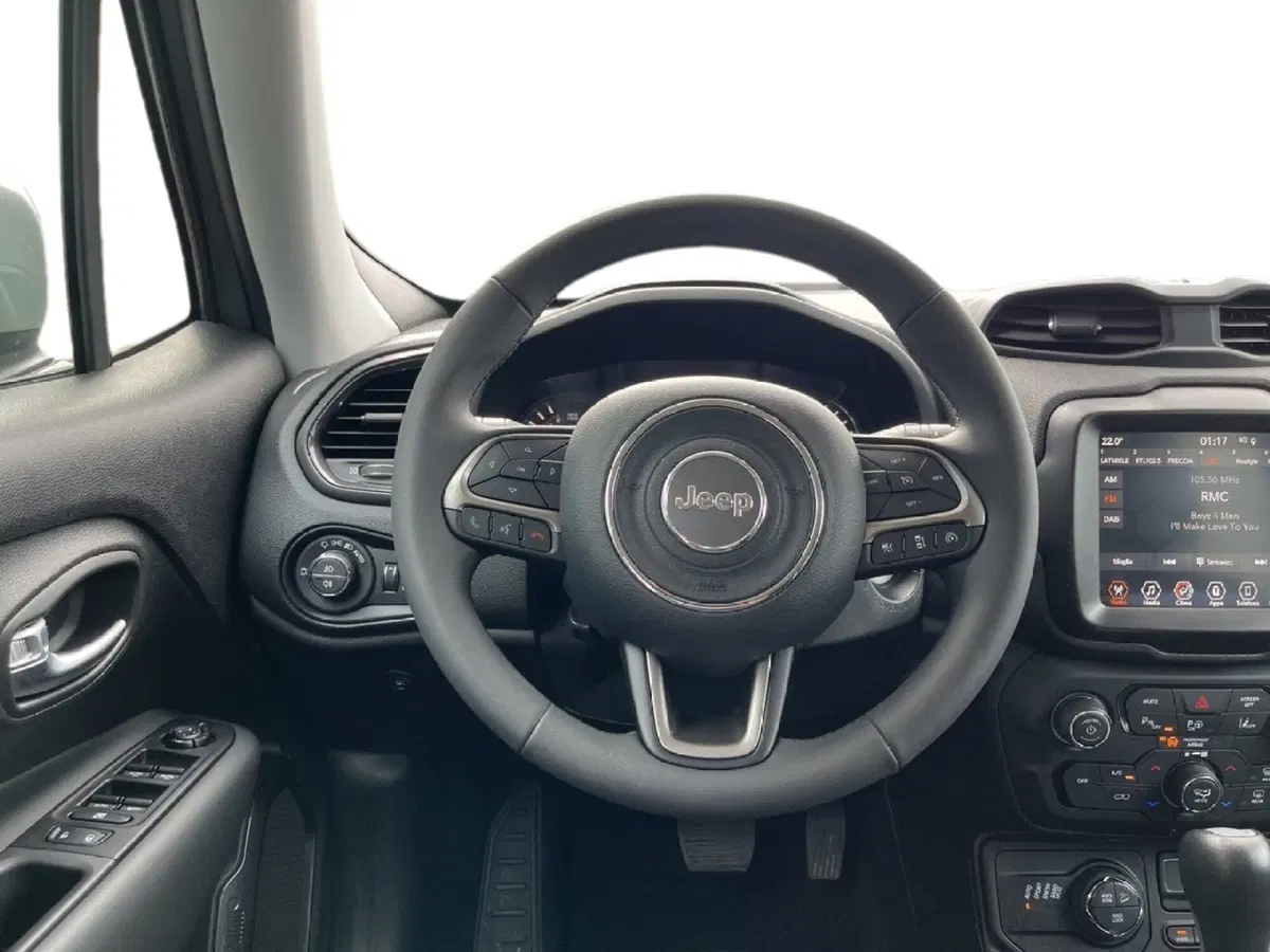 Jeep Renegade usata a Torino (11)
