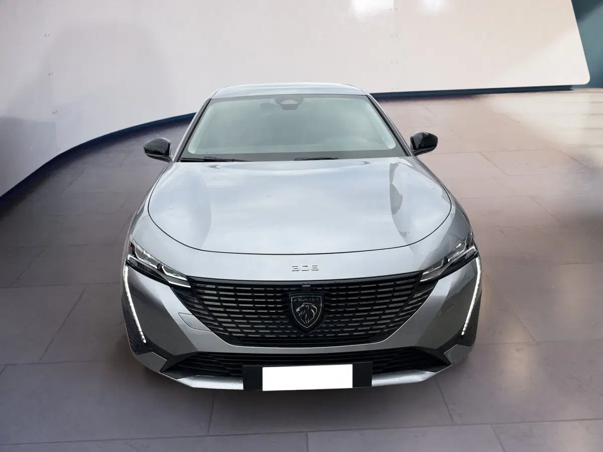 Peugeot 308 usata a Torino