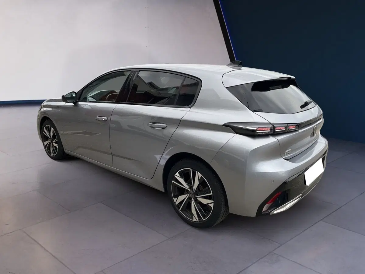 Peugeot 308 usata a Torino (4)