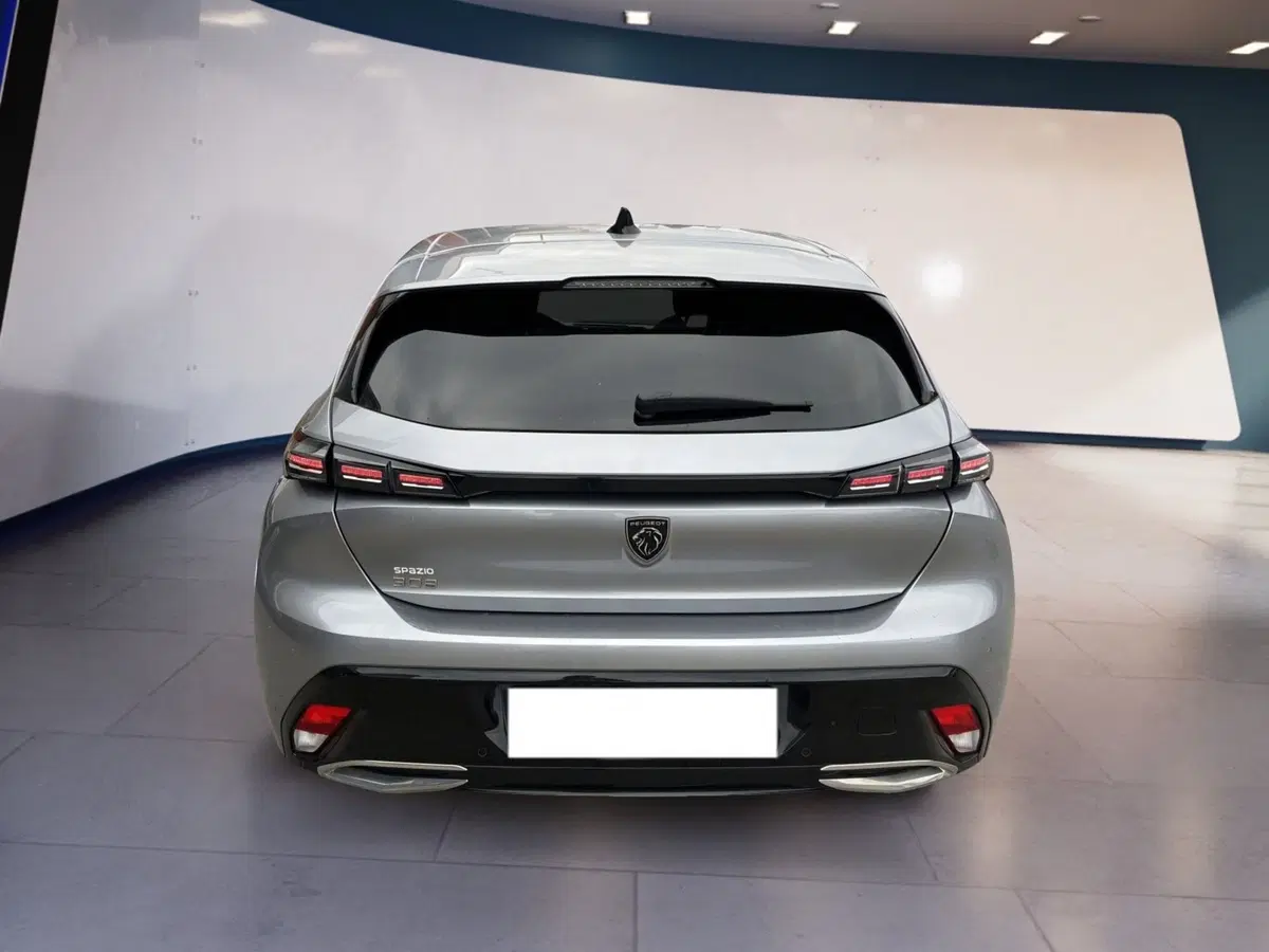 Peugeot 308 usata a Torino (5)