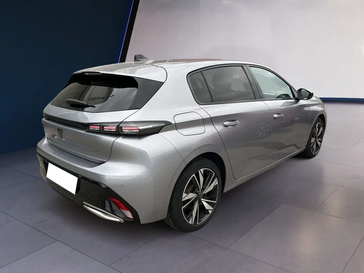 Peugeot 308 usata a Torino (6)