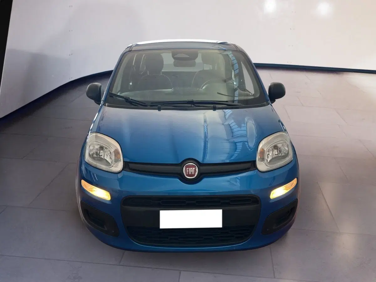 Fiat Pandina usata a Torino