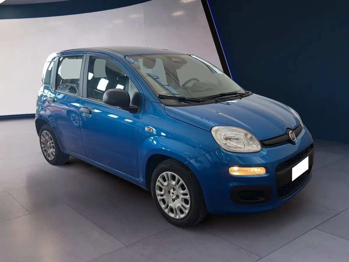 Fiat Pandina usata a Torino (2)
