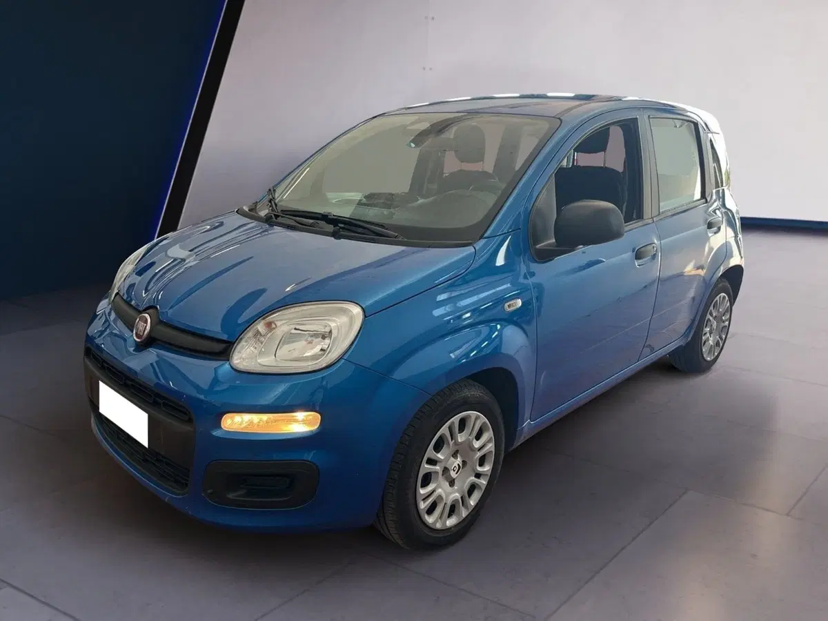 Fiat Pandina usata a Torino (3)