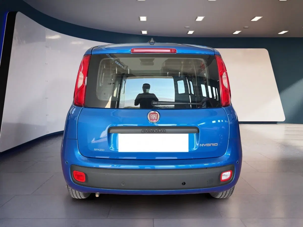 Fiat Pandina usata a Torino (5)