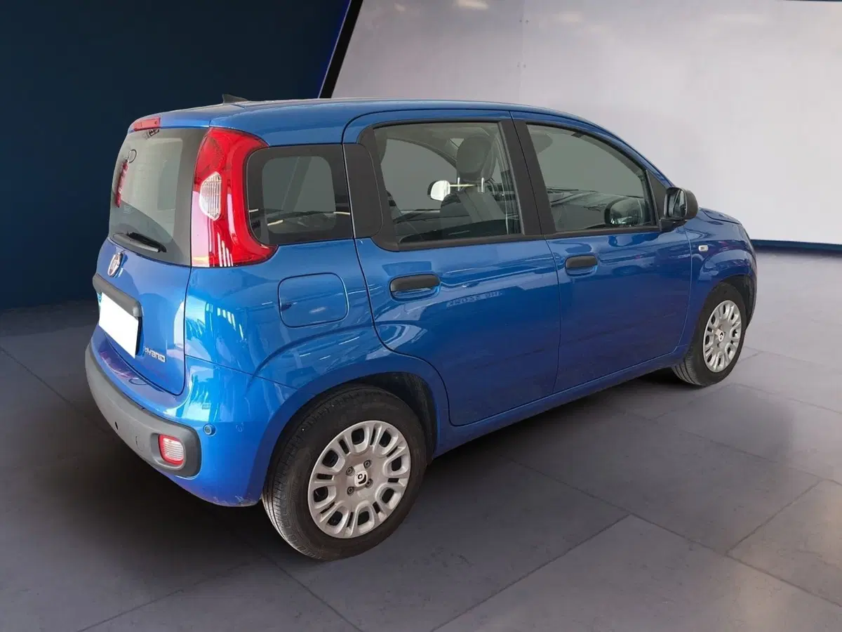 Fiat Pandina usata a Torino (6)