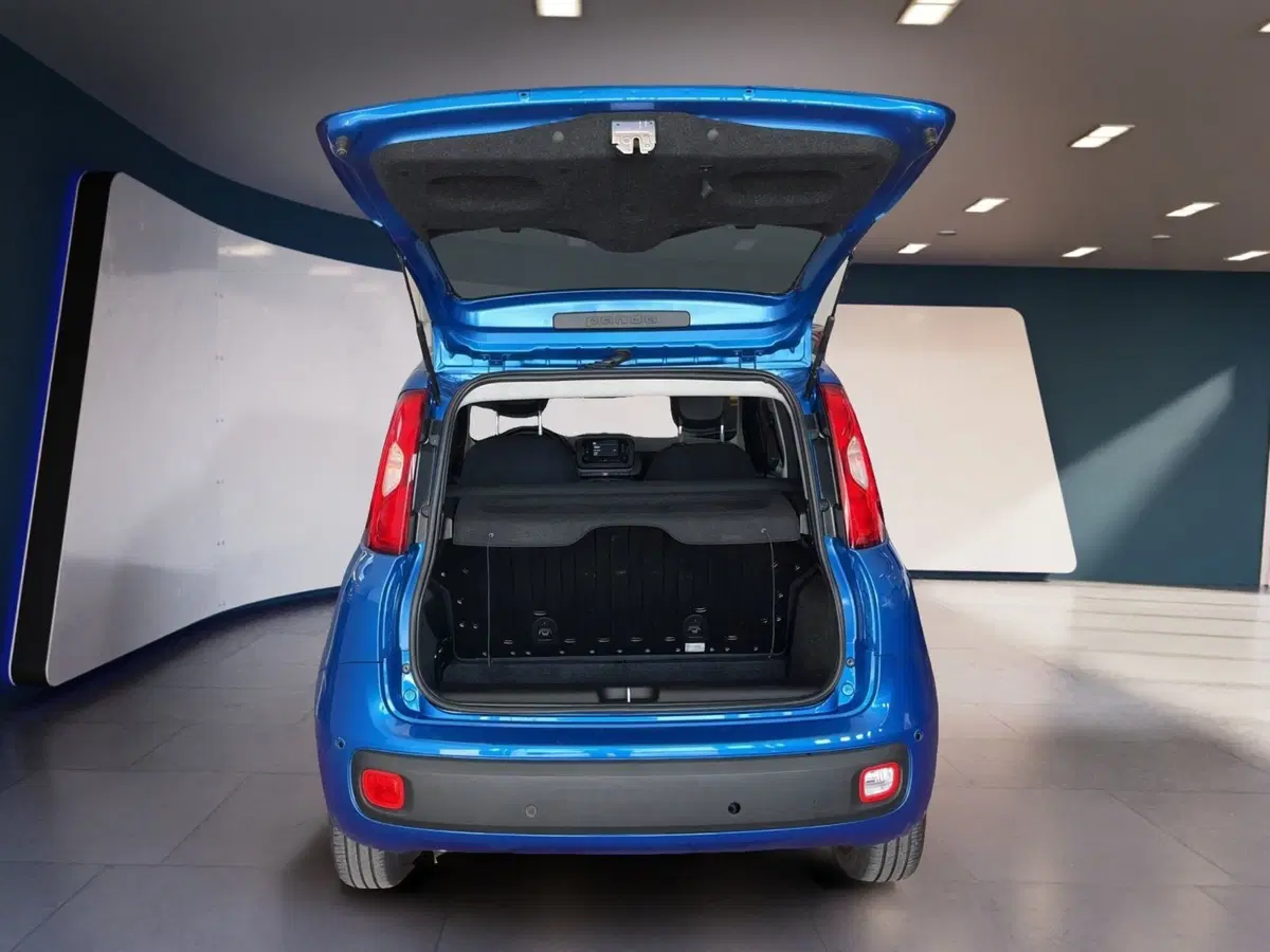 Fiat Pandina usata a Torino (7)