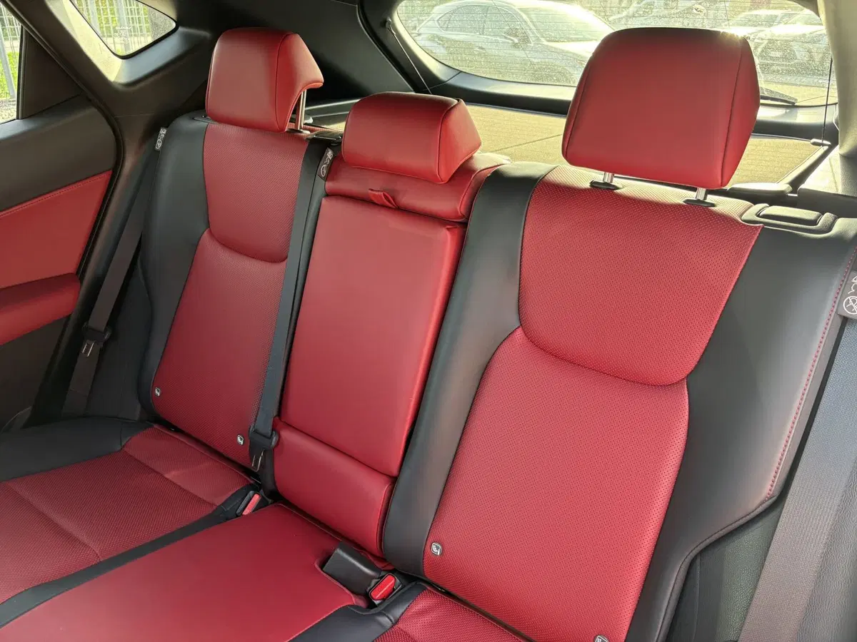 Lexus NX usata a Venezia (10)