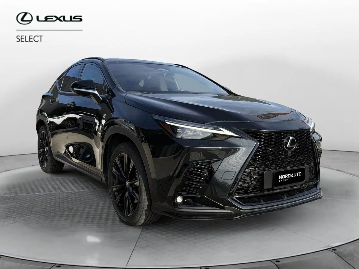 Lexus NX usata a Venezia (2)