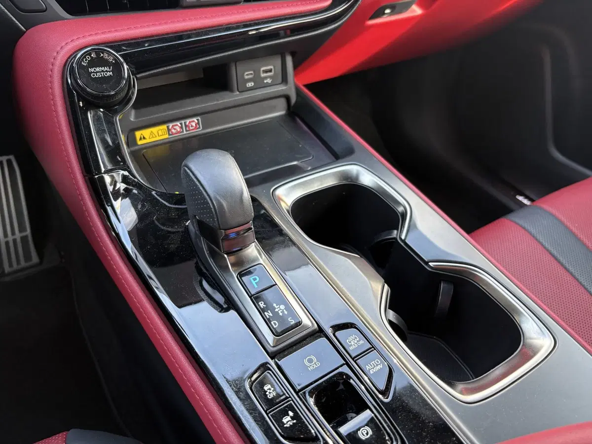 Lexus NX usata a Venezia (20)