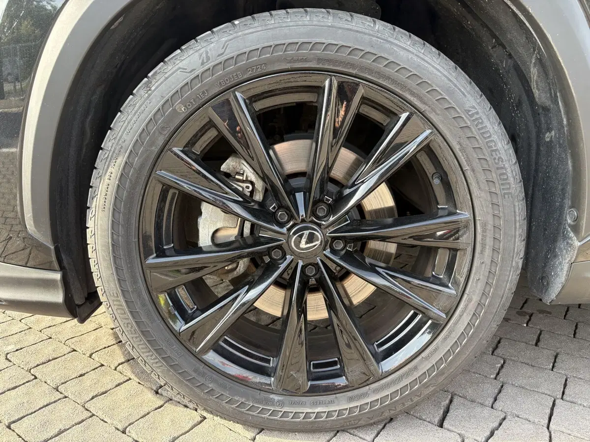 Lexus NX usata a Venezia (6)