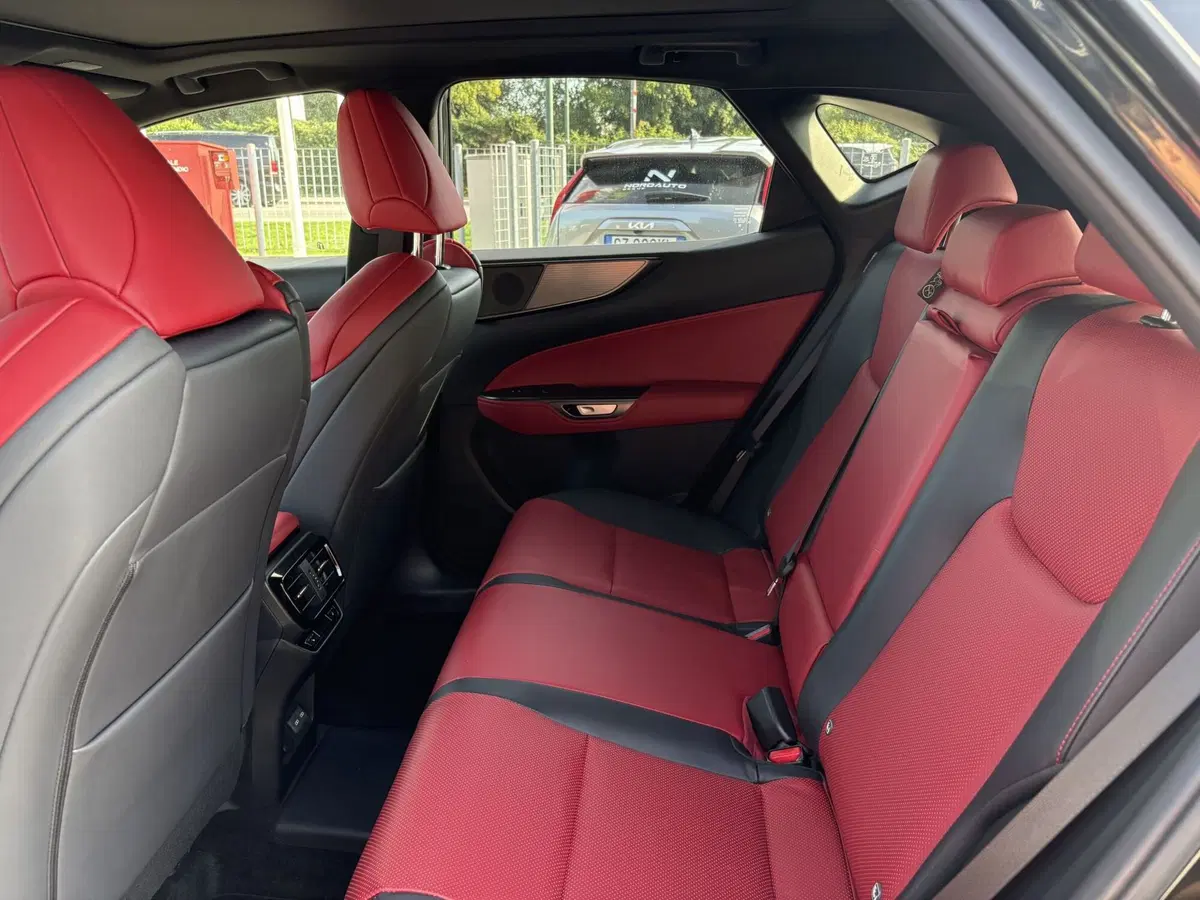 Lexus NX usata a Venezia (9)