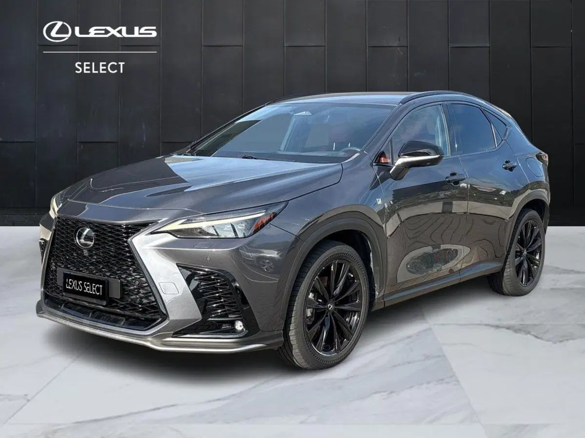 Lexus NX usata a Venezia