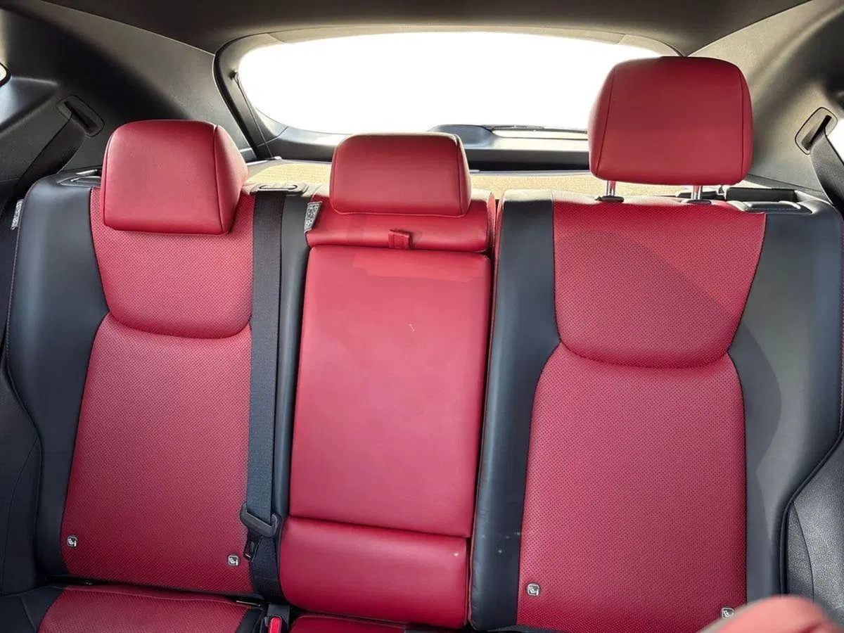 Lexus NX usata a Venezia (13)