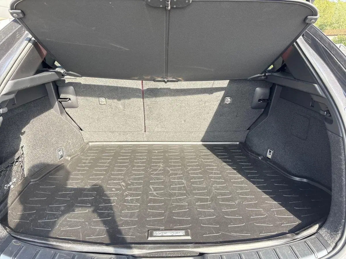 Lexus NX usata a Venezia (16)