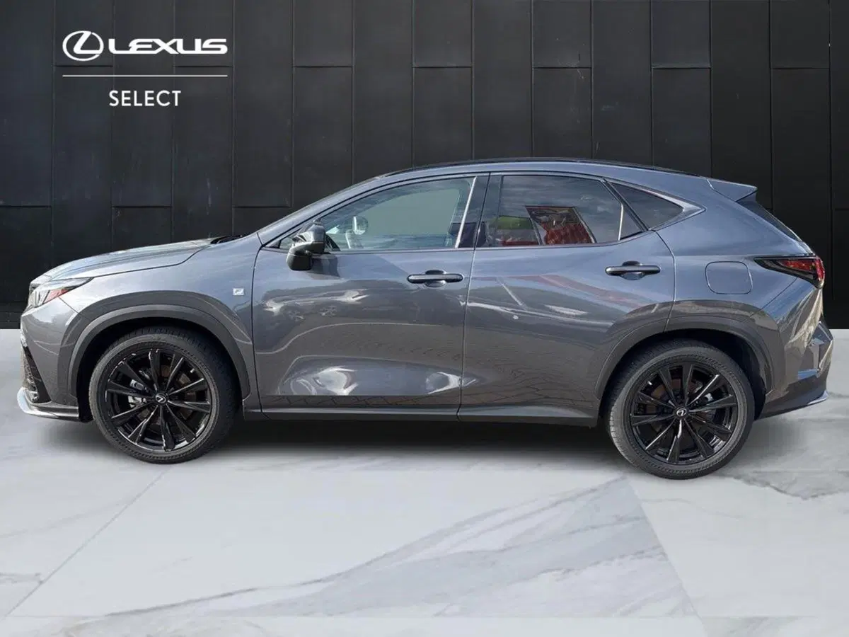 Lexus NX usata a Venezia (3)