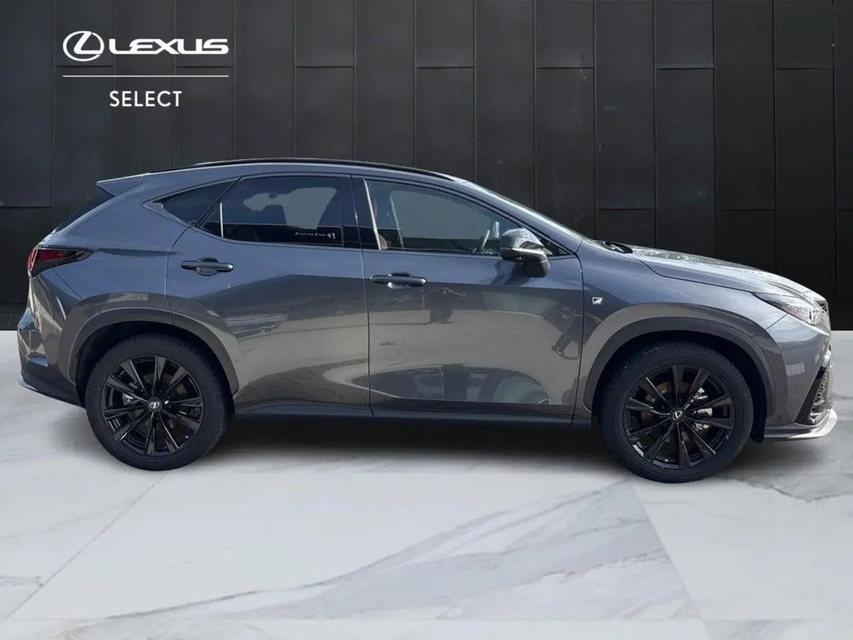 Lexus NX usata a Venezia (4)