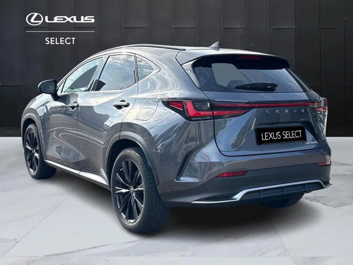 Lexus NX usata a Venezia (5)