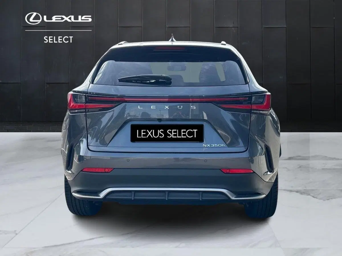 Lexus NX usata a Venezia (6)